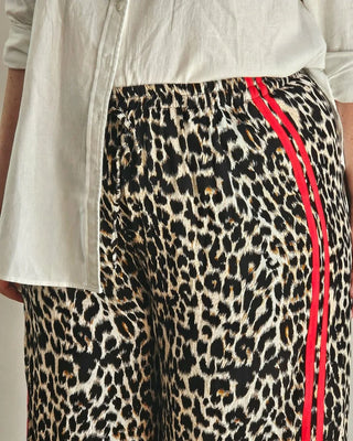 Elio Pant in Leopard Print